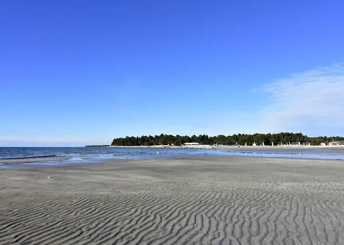 Alpa6 By Interhome Apartment *