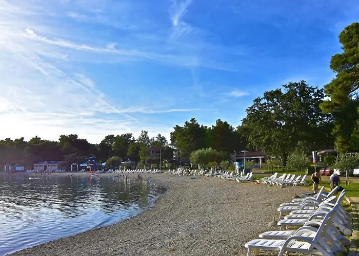 Alpa6 By Interhome Apartment Umag